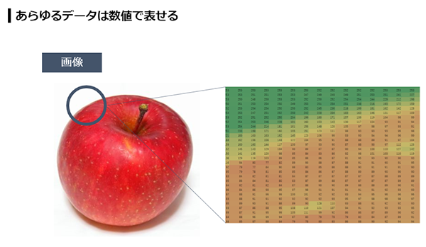 shimanesem_002.png